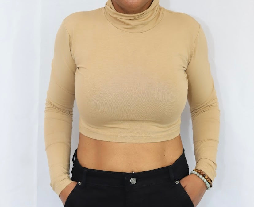 Long Sleeve Crop Top Turtle Neck