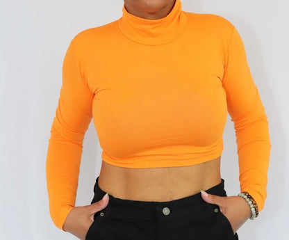 Long Sleeve Crop Top Turtle Neck